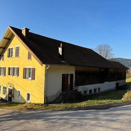 Chalet Cosy Lisiere De Foret 克松吕-隆日梅 外观 照片