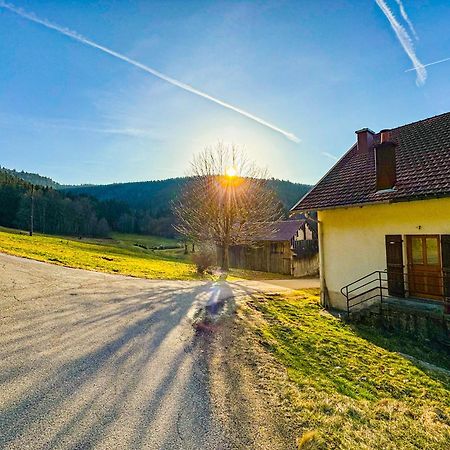 Chalet Cosy Lisiere De Foret 克松吕-隆日梅 外观 照片