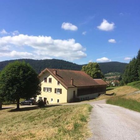 Chalet Cosy Lisiere De Foret 克松吕-隆日梅 外观 照片
