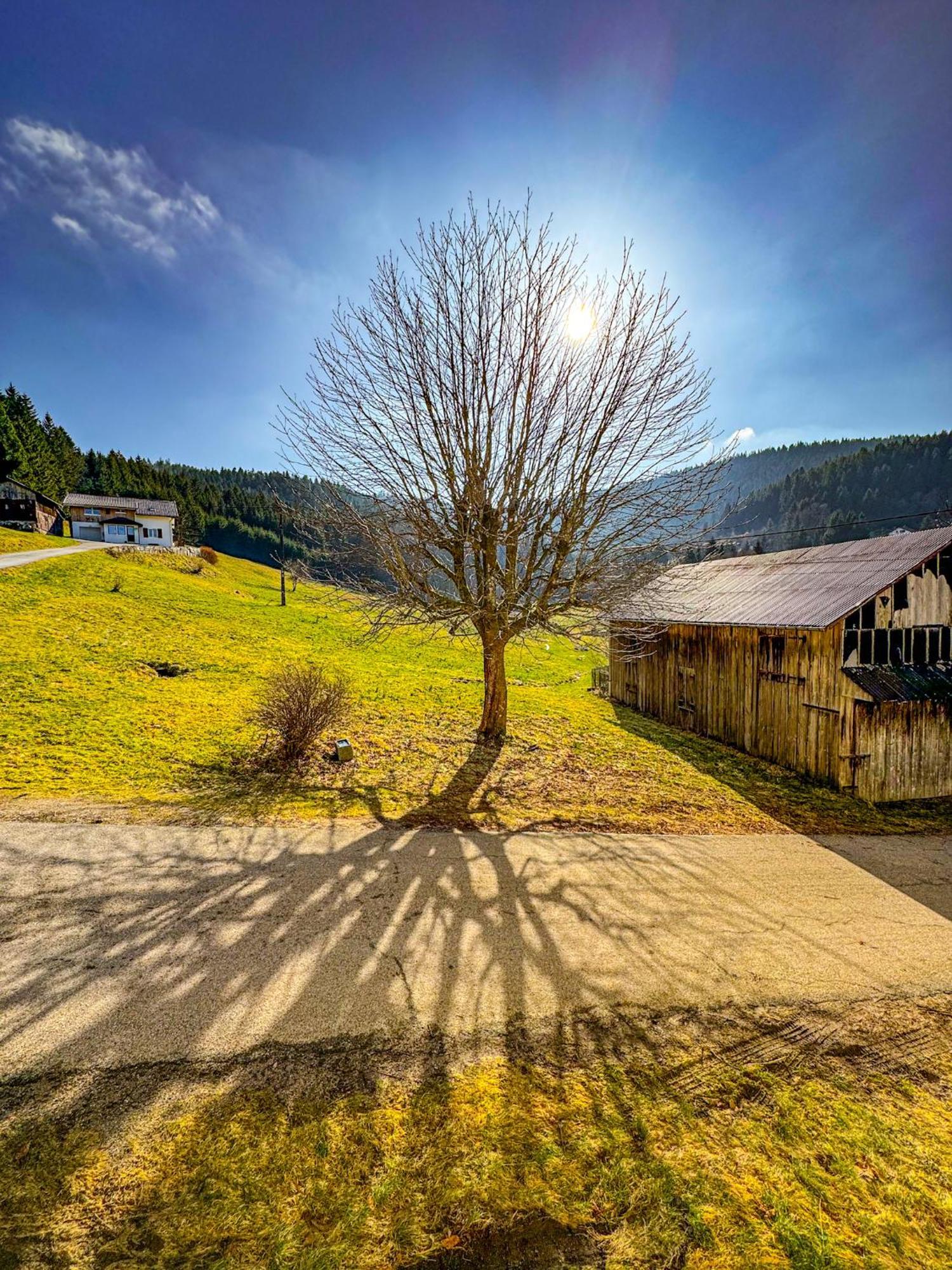 Chalet Cosy Lisiere De Foret 克松吕-隆日梅 外观 照片