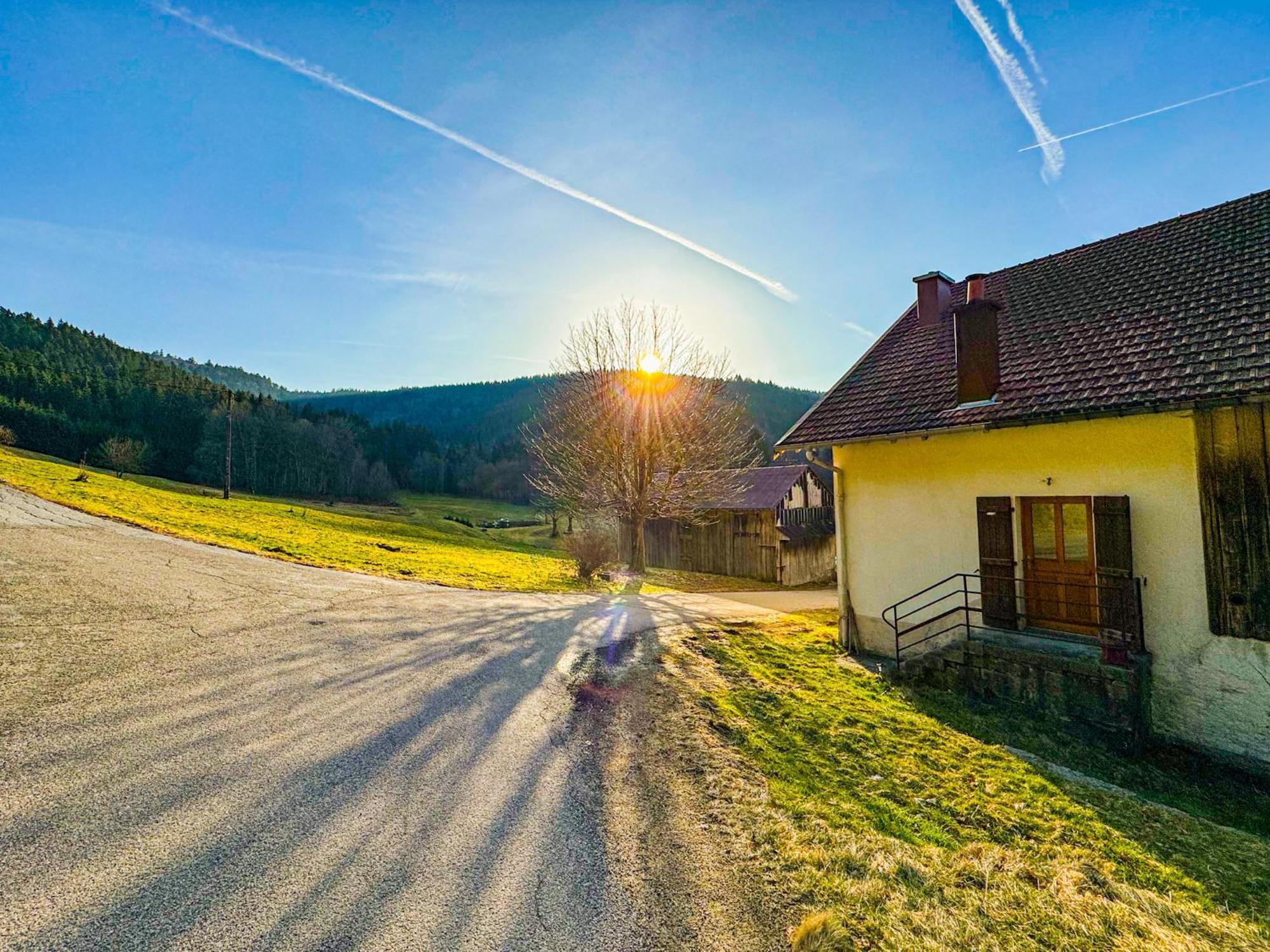 Chalet Cosy Lisiere De Foret 克松吕-隆日梅 外观 照片