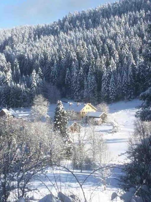 Chalet Cosy Lisiere De Foret 克松吕-隆日梅 外观 照片