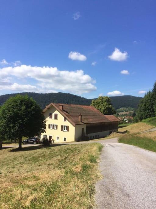 Chalet Cosy Lisiere De Foret 克松吕-隆日梅 外观 照片