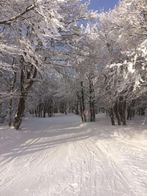 Chalet Cosy Lisiere De Foret 克松吕-隆日梅 外观 照片